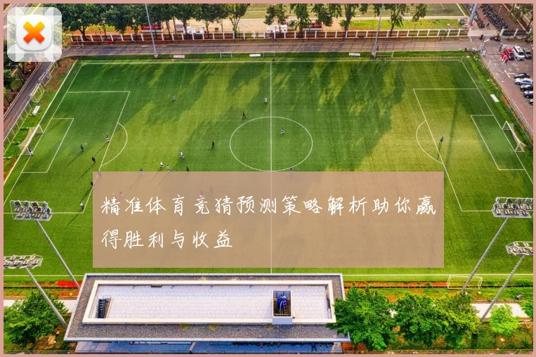 精准体育竞猜预测策略解析助你赢得胜利与收益