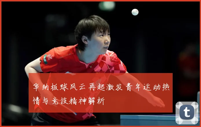 华纳板球风云再起激发青年运动热情与竞技精神解析