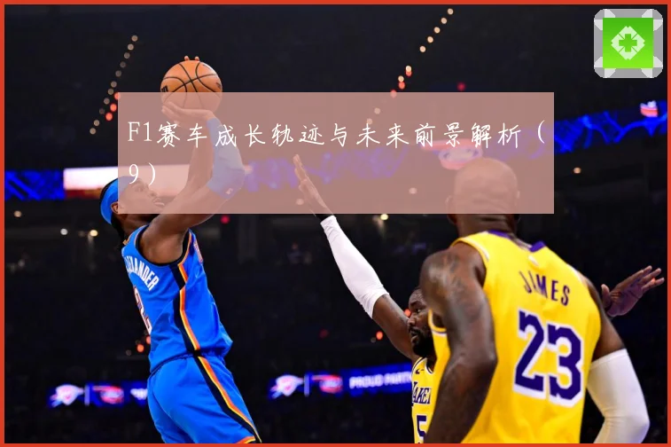 F1赛车成长轨迹与未来前景解析（9）