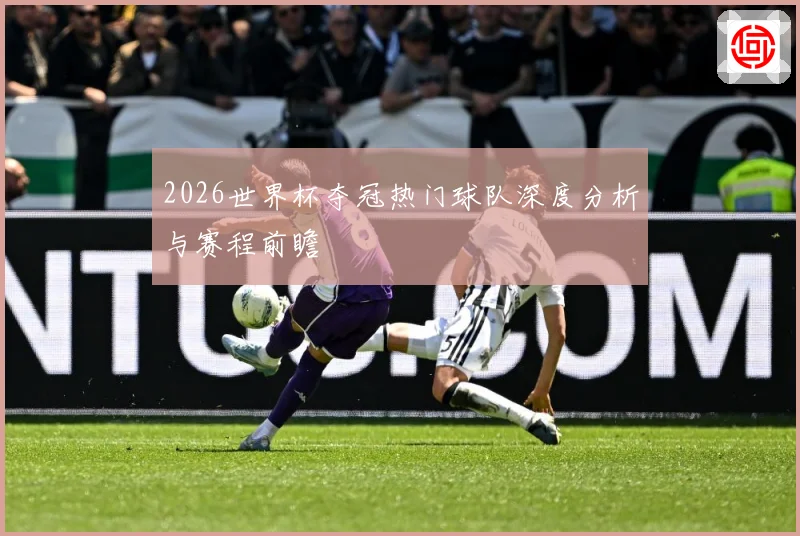 2026世界杯夺冠热门球队深度分析与赛程前瞻