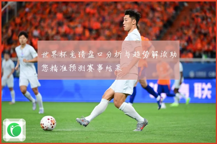 世界杯竞猜盘口分析与趋势解读助您精准预测赛事结果