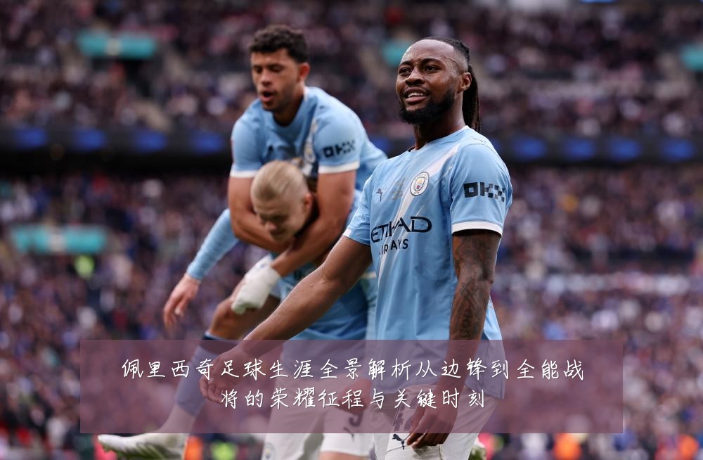 佩里西奇足球生涯全景解析从边锋到全能战将的荣耀征程与关键时刻