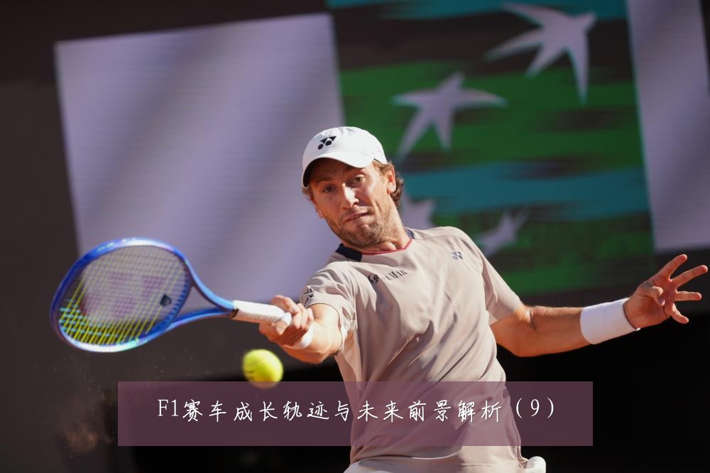 F1赛车成长轨迹与未来前景解析(9)
