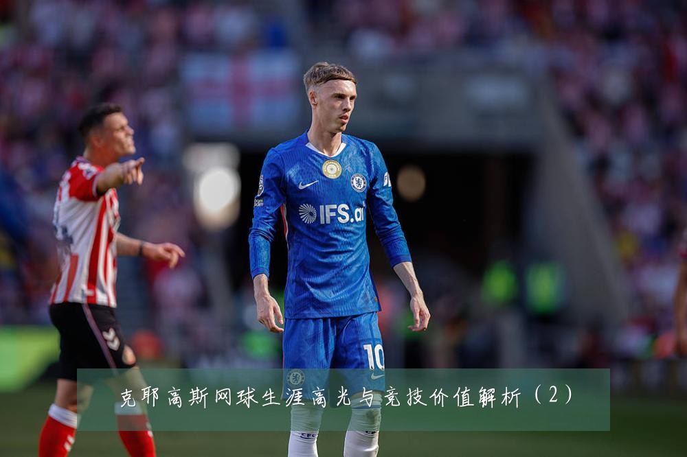 克耶高斯网球生涯高光与竞技价值解析（2）