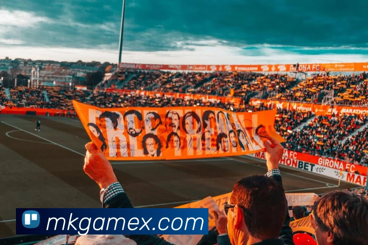 MK体育平台展示图