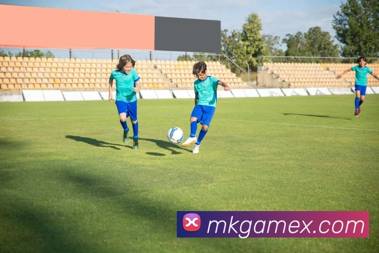 MK体育手机版全新上线带来极速赛事体验与全面数据分析